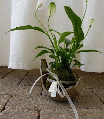 Bomboniere con perle di muschio