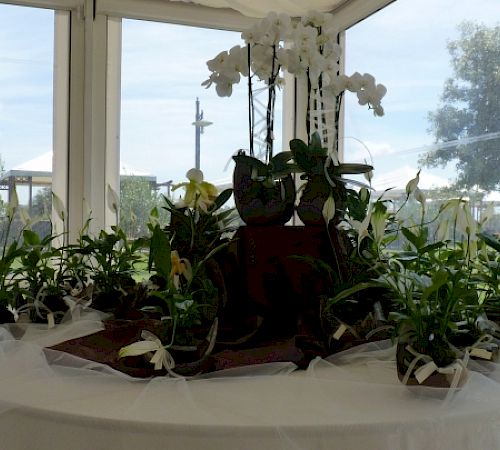 Gallery Allestimento matrimonio - allestimento-matrimonio.jpg